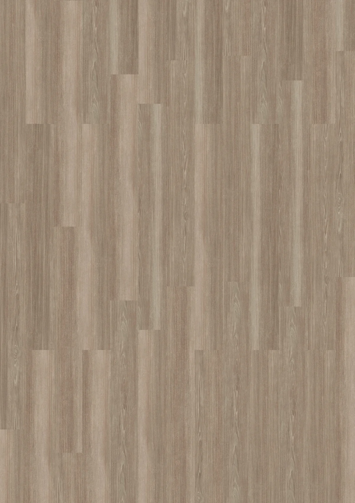 Grey Ash 4020 view 3