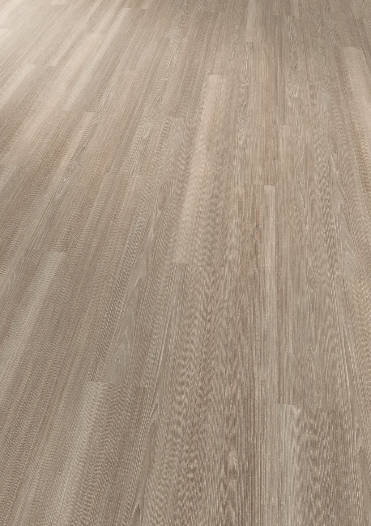 Grey Ash 4020 view 2