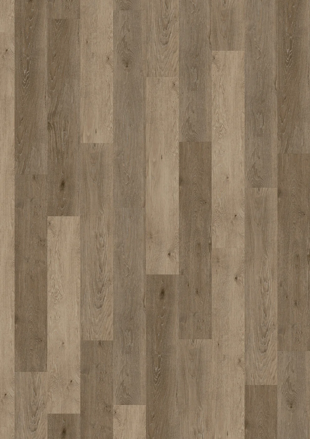 Vibrant Oak 5879 view 2