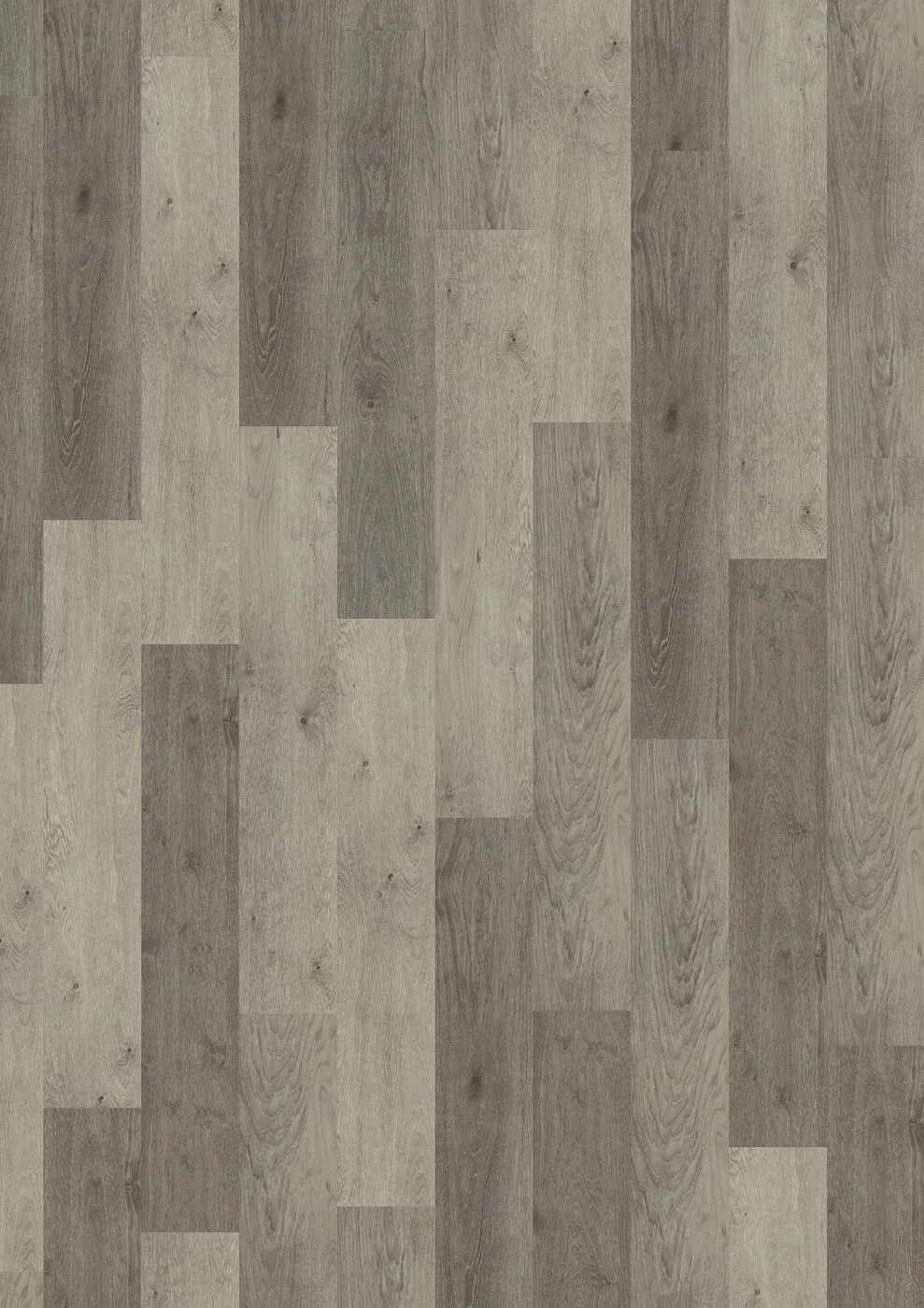 Shadow Oak 5878 view 2