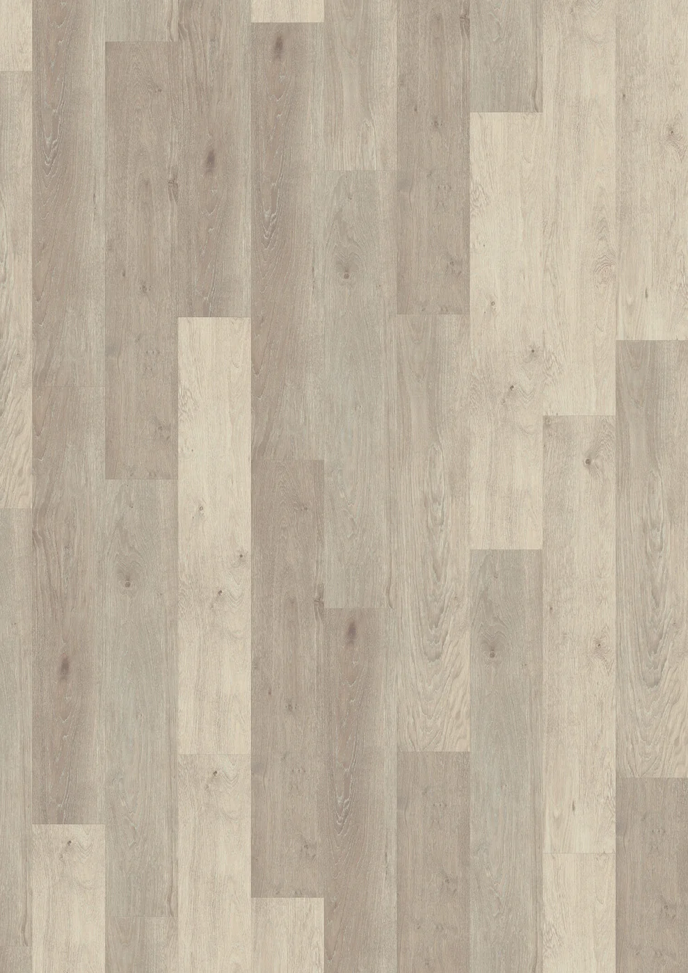 Cotton Oak 5877 view 2