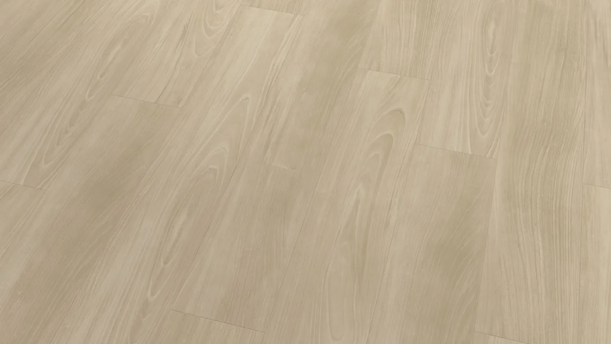 Valley Elm 4215 view 2