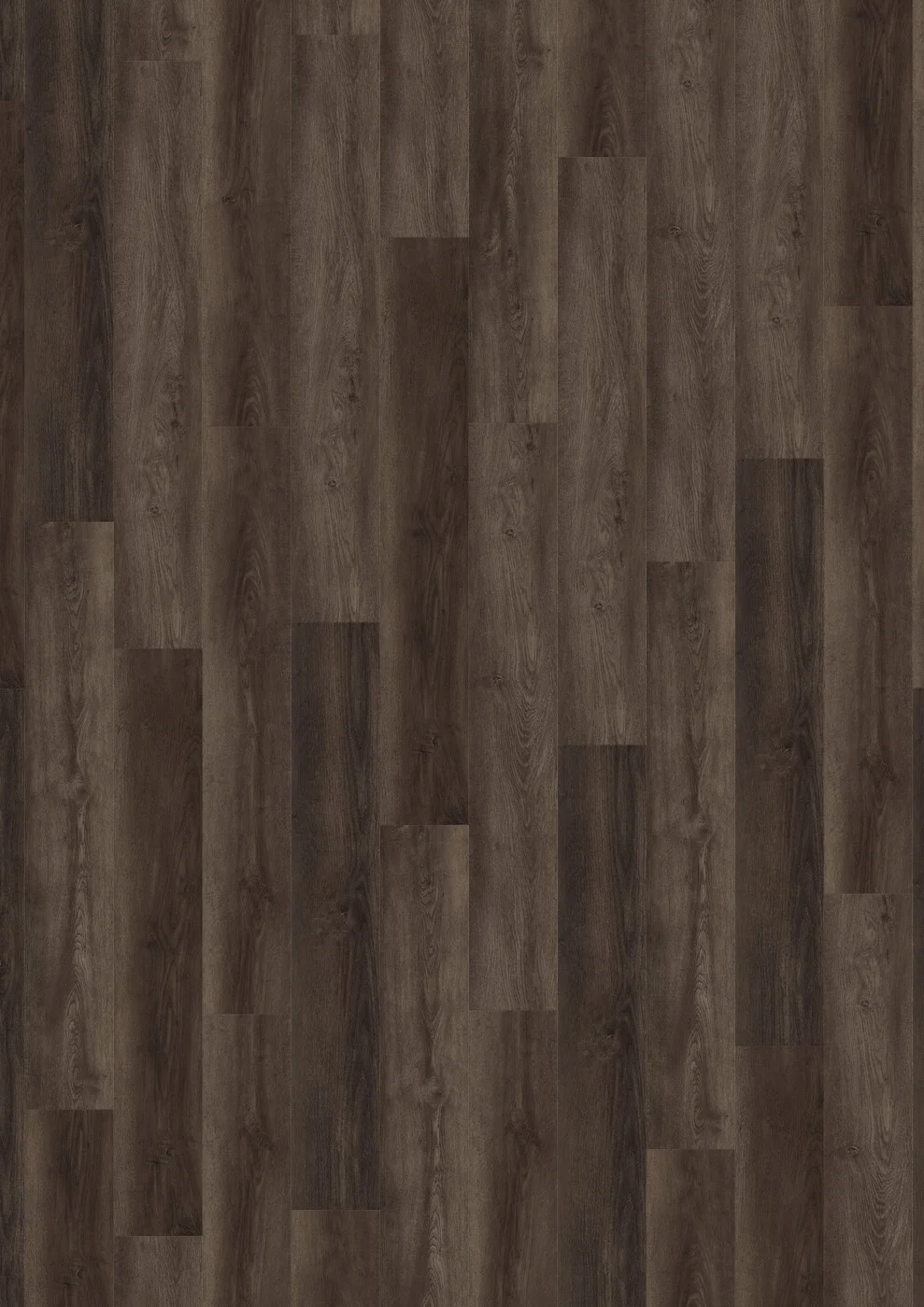 Sunset Oak 5876 view 2