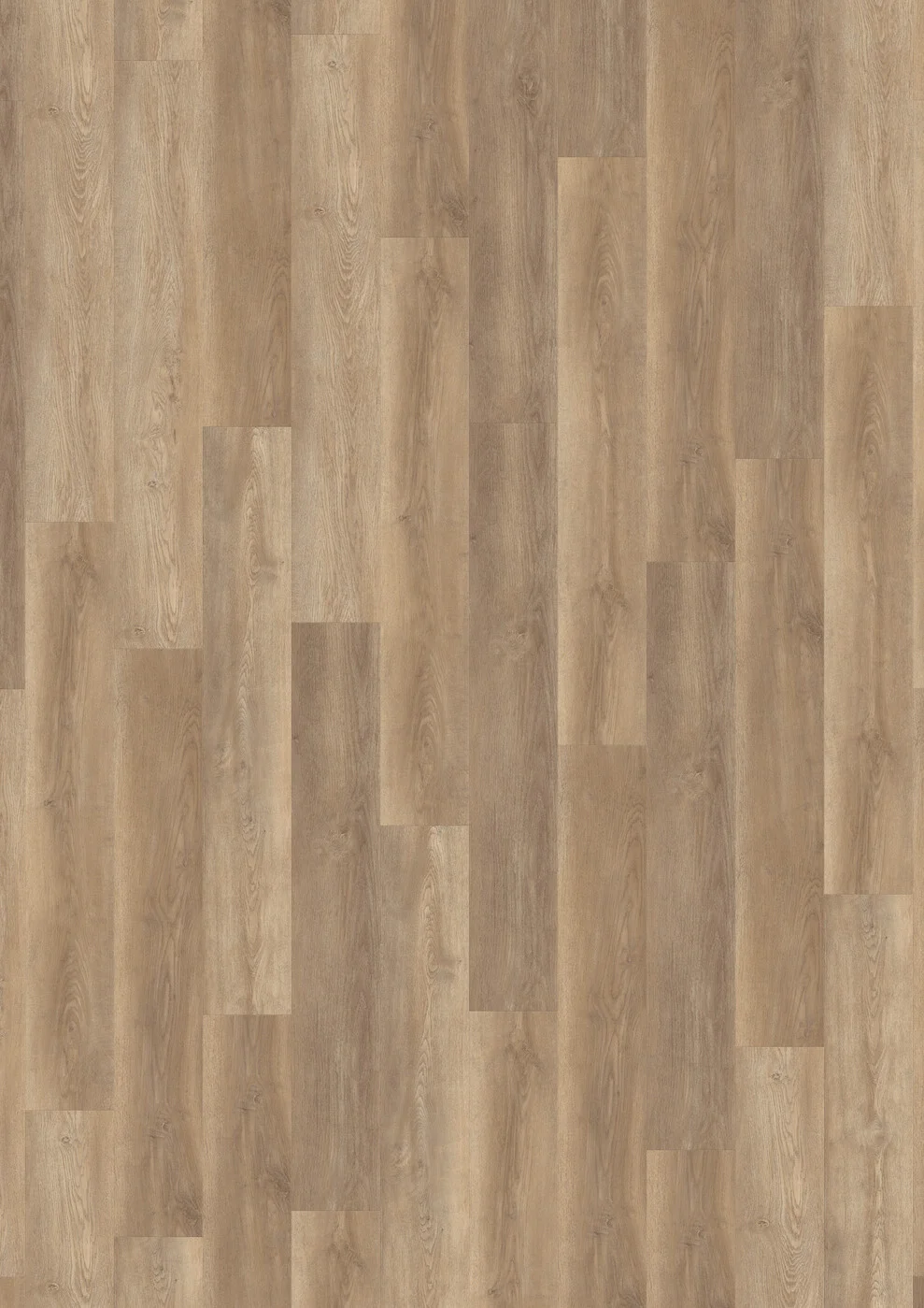 Sandstorm Oak 5874 view 2