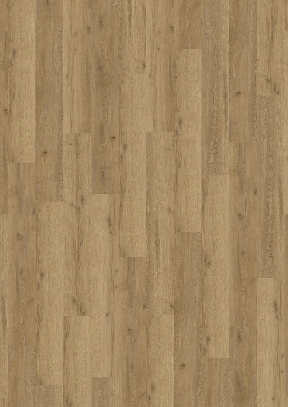 Manor Oak 5837 view 3