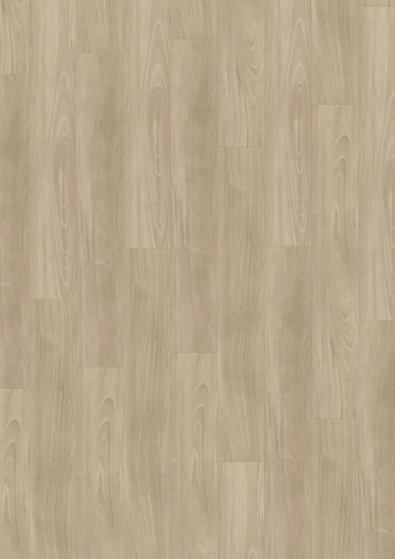 Valley Elm 4215 view 3