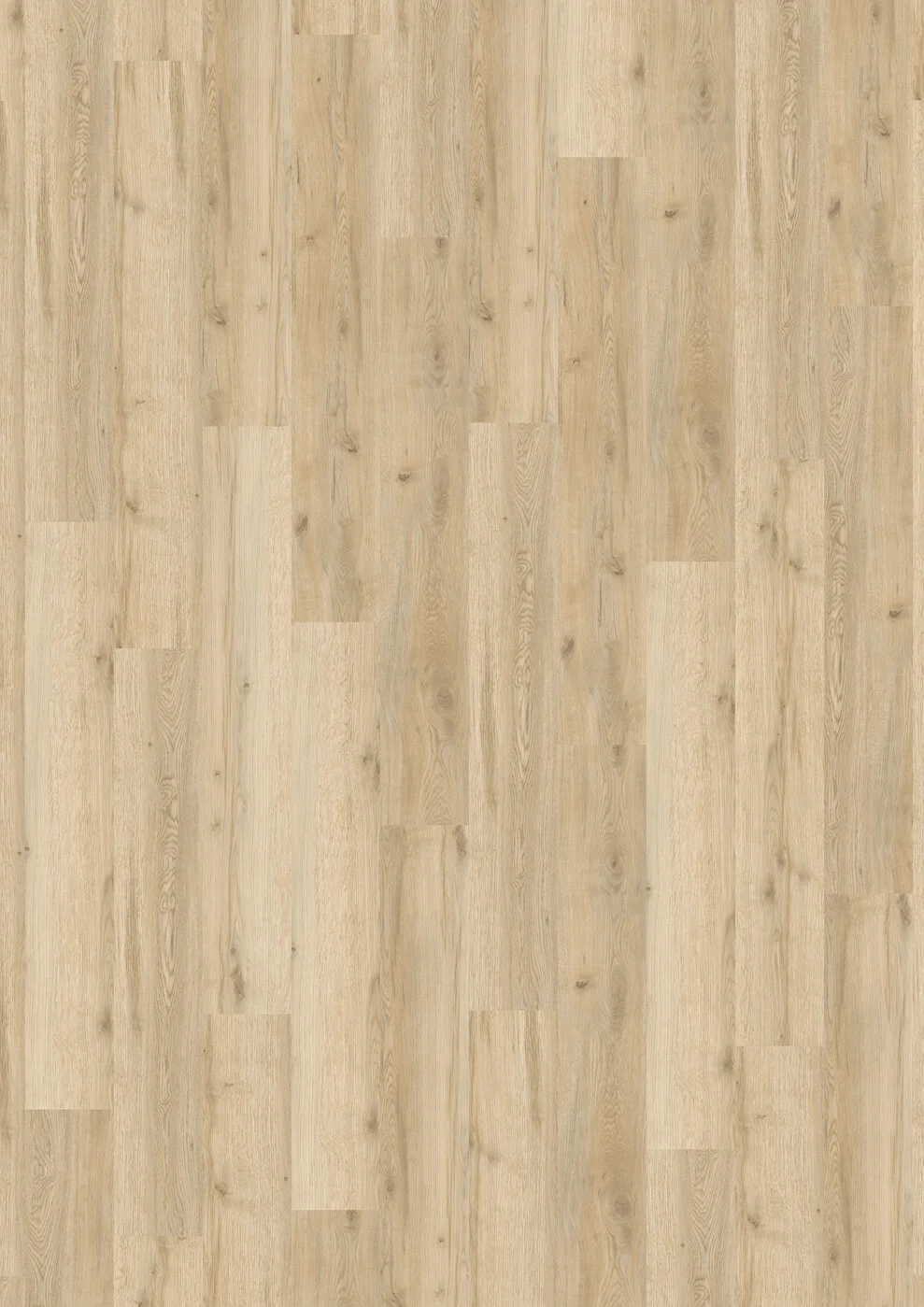 Mountain Oak 5827 view 3